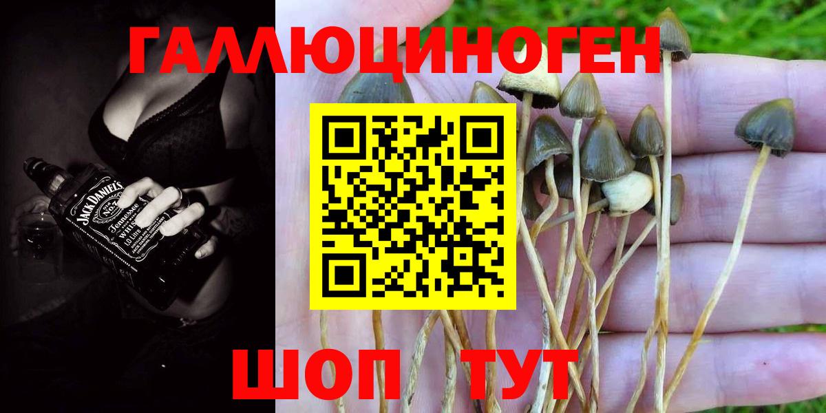 Галлюциногенные грибы ЛСД Новодвинск